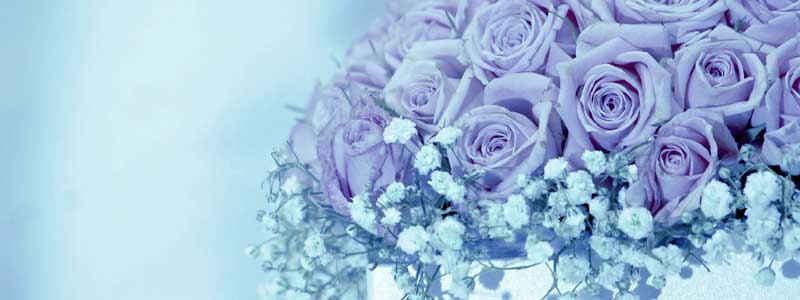 TCgłrdwOInjIXX̏on͂̂RI0006